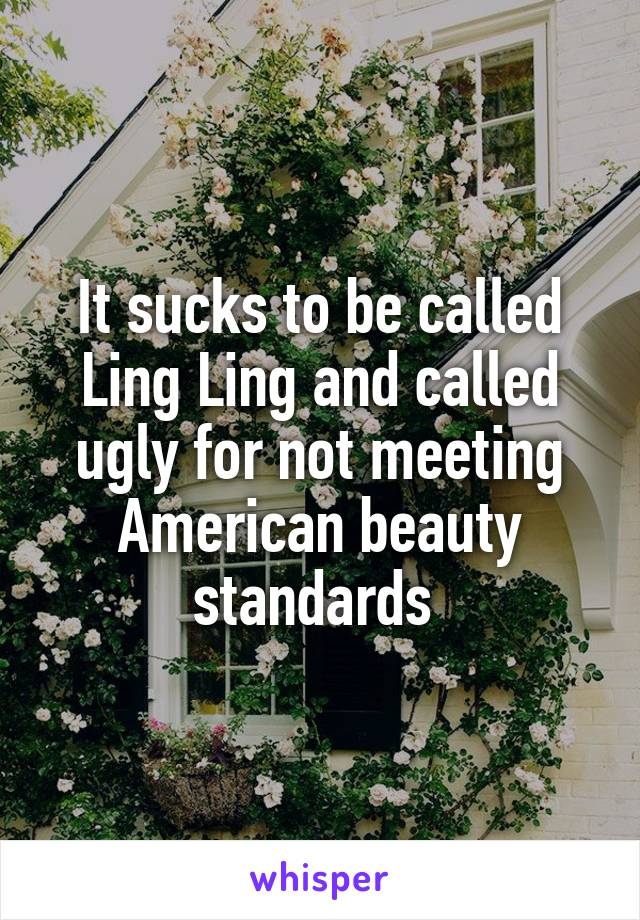 It sucks to be called Ling Ling and called ugly for not meeting American beauty standards 