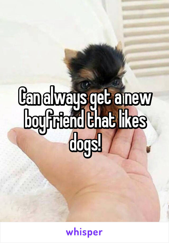 Can always get a new boyfriend that likes dogs!