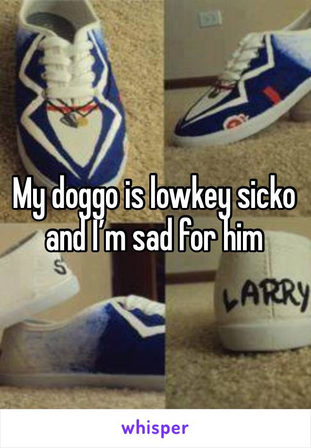 My doggo is lowkey sicko and I’m sad for him 