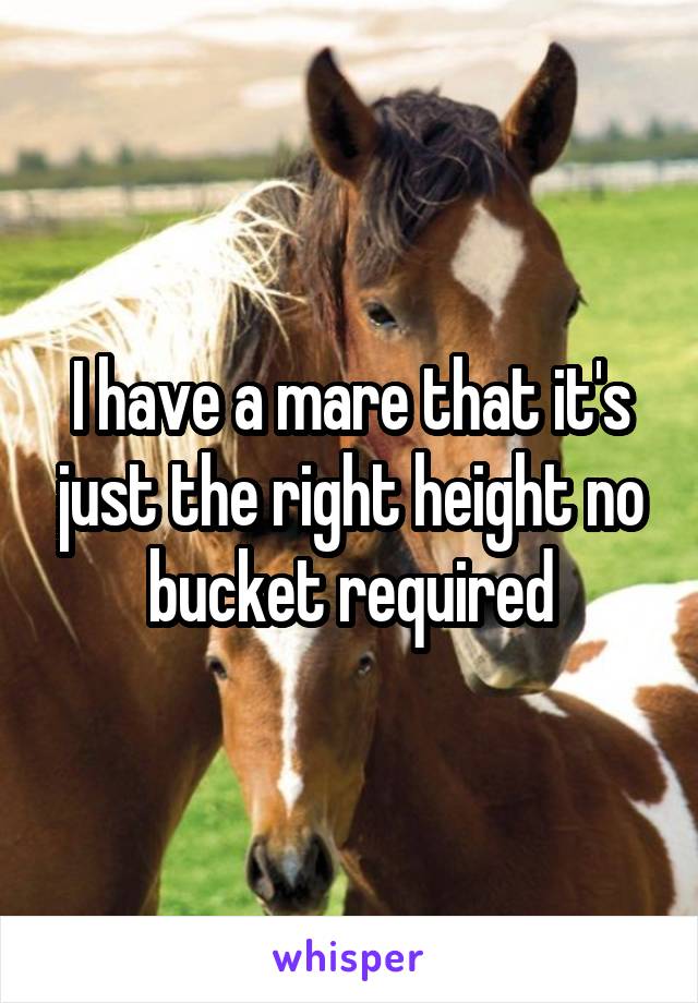 I have a mare that it's just the right height no bucket required