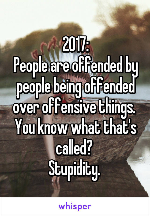 2017:
People are offended by people being offended over offensive things. 
You know what that's called? 
Stupidity. 