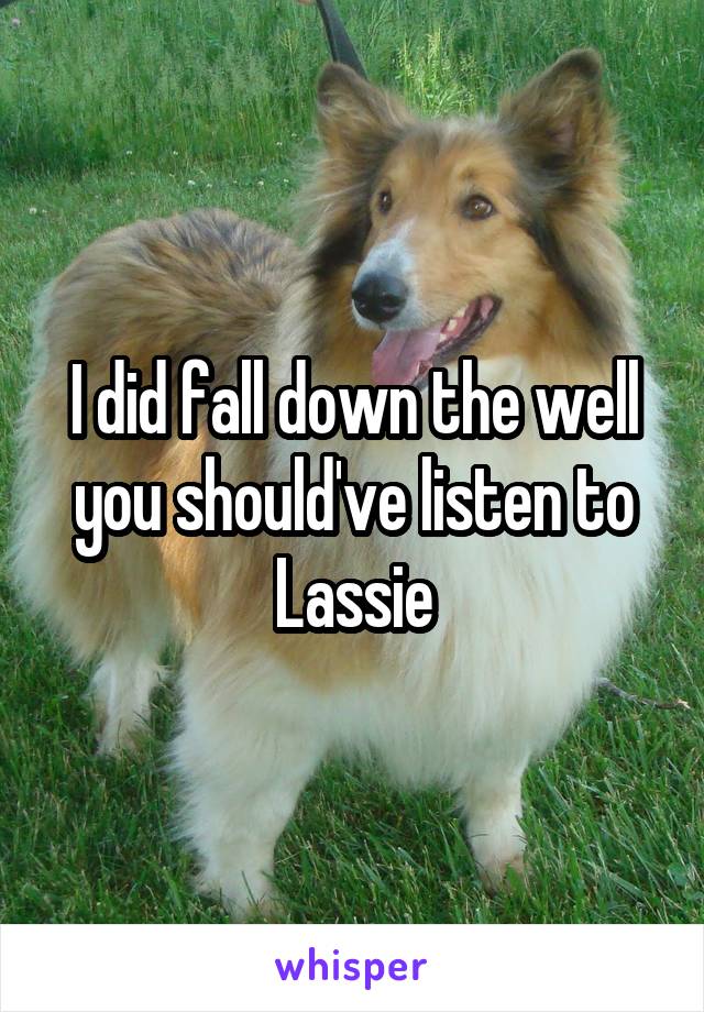 I did fall down the well you should've listen to Lassie