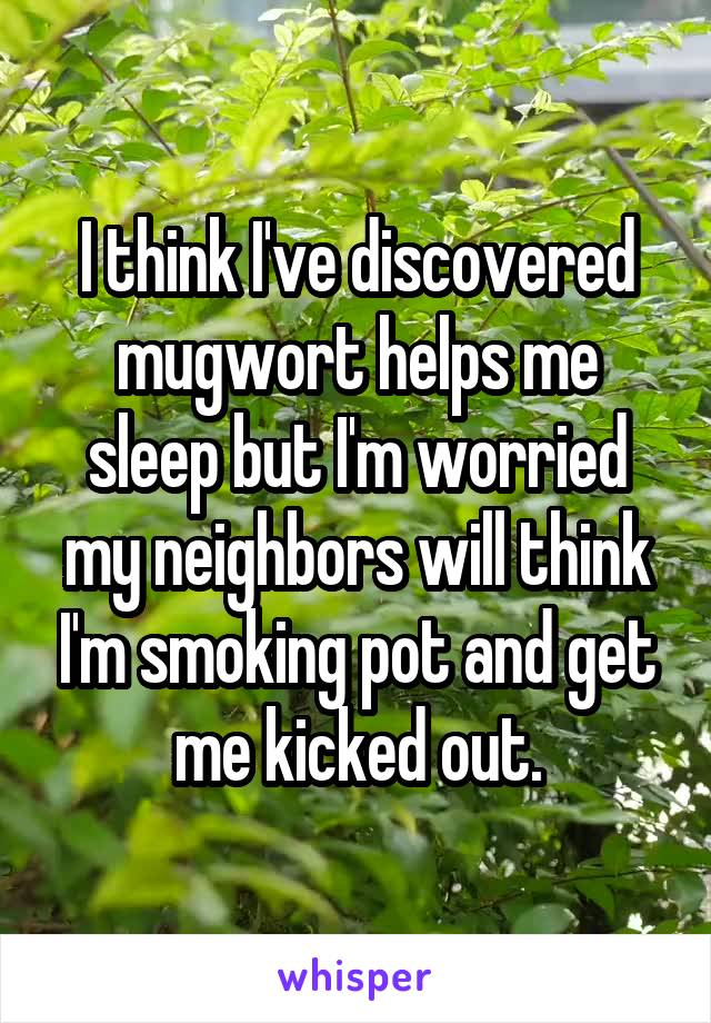 I think I've discovered mugwort helps me sleep but I'm worried my neighbors will think I'm smoking pot and get me kicked out.