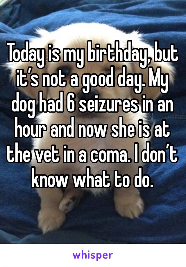 Today is my birthday, but it’s not a good day. My dog had 6 seizures in an hour and now she is at the vet in a coma. I don’t know what to do. 