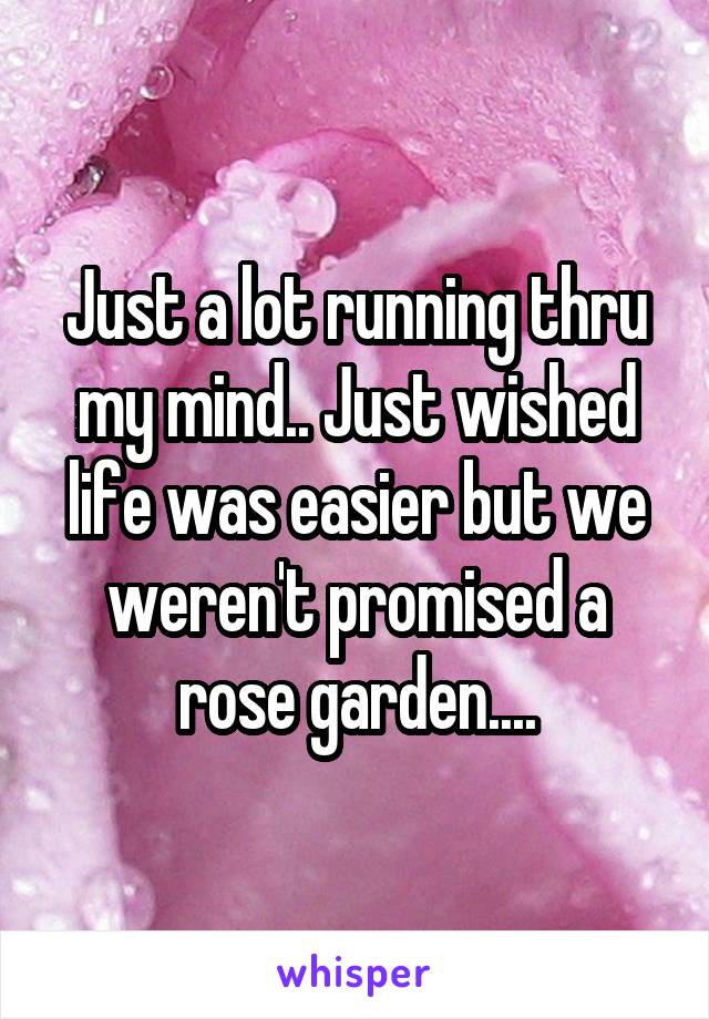 Just a lot running thru my mind.. Just wished life was easier but we weren't promised a rose garden....