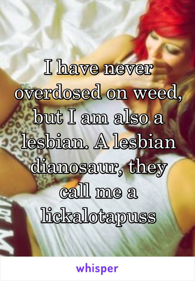 I have never overdosed on weed, but I am also a lesbian. A lesbian dianosaur, they call me a lickalotapuss