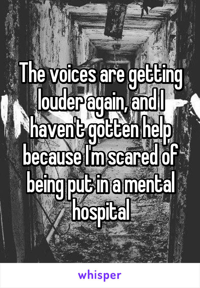 The voices are getting louder again, and I haven't gotten help because I'm scared of being put in a mental hospital