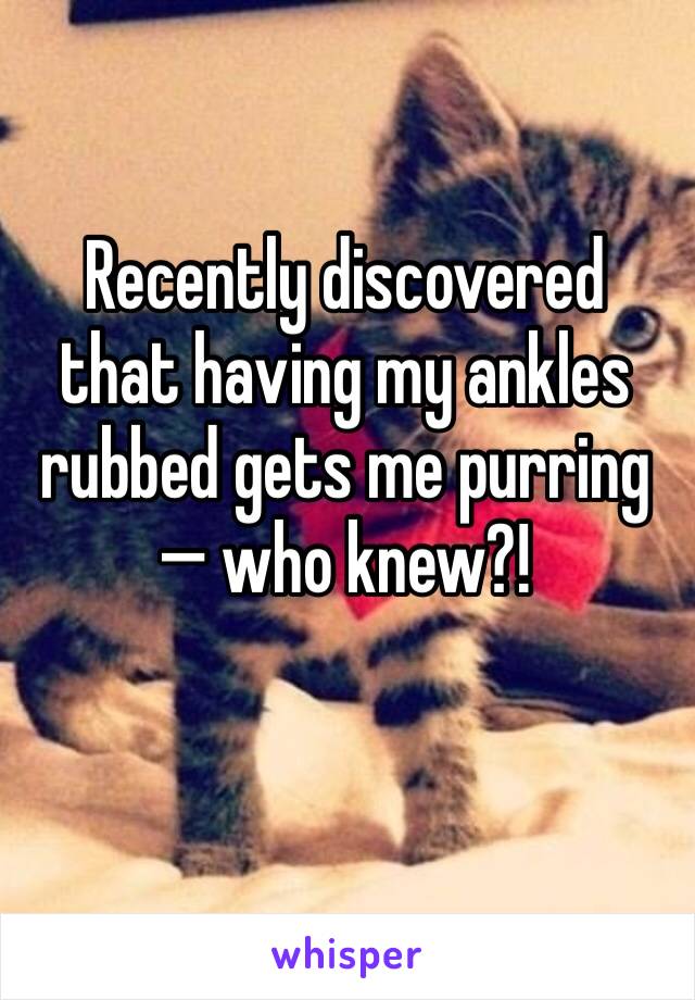 Recently discovered that having my ankles rubbed gets me purring — who knew?!