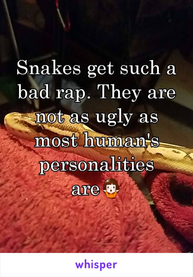 Snakes get such a bad rap. They are not as ugly as most human's personalities are🤷