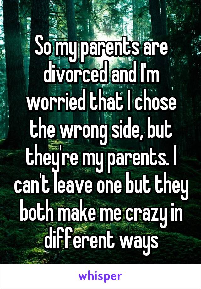 So my parents are divorced and I'm worried that I chose the wrong side, but they're my parents. I can't leave one but they both make me crazy in different ways