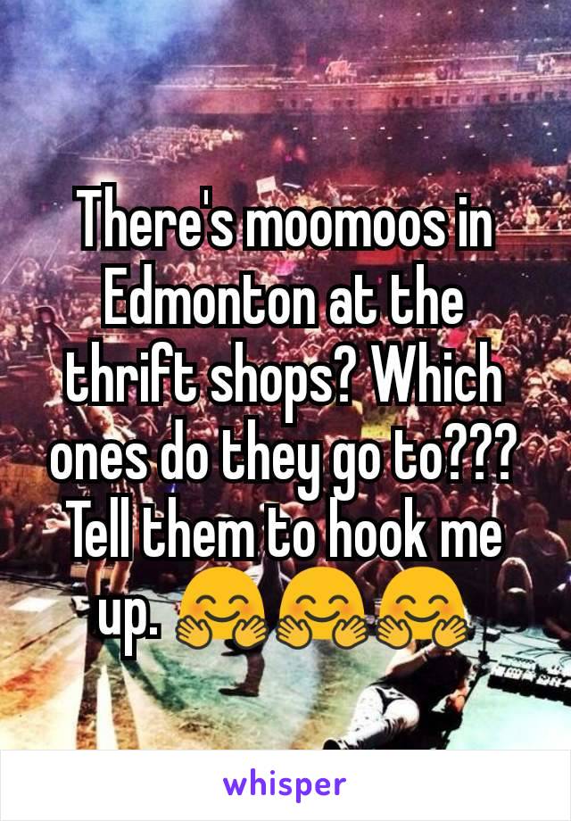 There's moomoos in Edmonton at the thrift shops? Which ones do they go to??? Tell them to hook me up. 🤗🤗🤗