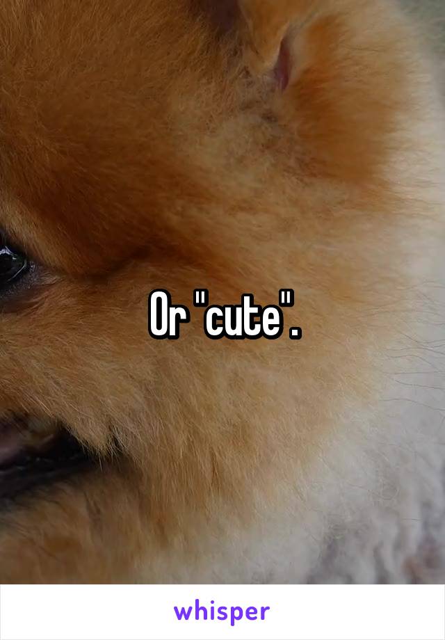 Or "cute".