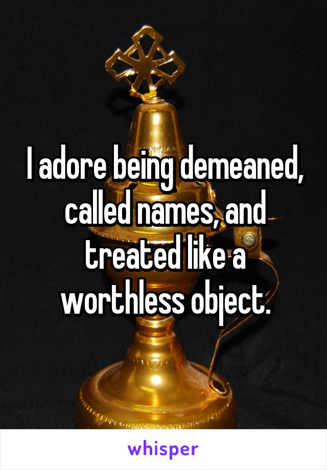 I adore being demeaned, called names, and treated like a worthless object.