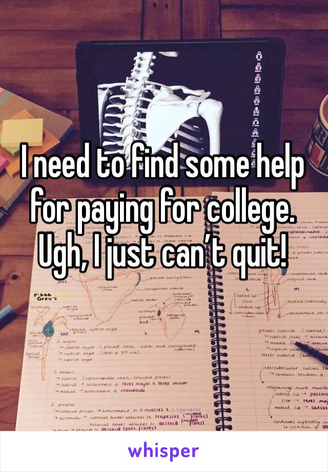 I need to find some help for paying for college. Ugh, I just can’t quit!