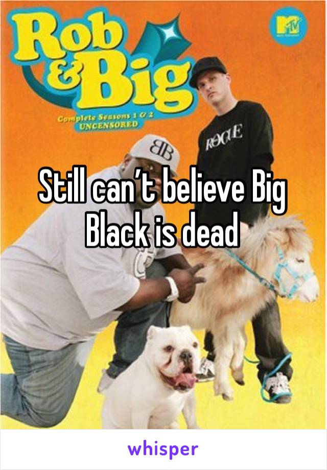 Still can’t believe Big Black is dead 
