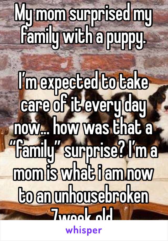 My mom surprised my family with a puppy.

I’m expected to take care of it every day now... how was that a “family” surprise? I’m a mom is what i am now to an unhousebroken 7week old.