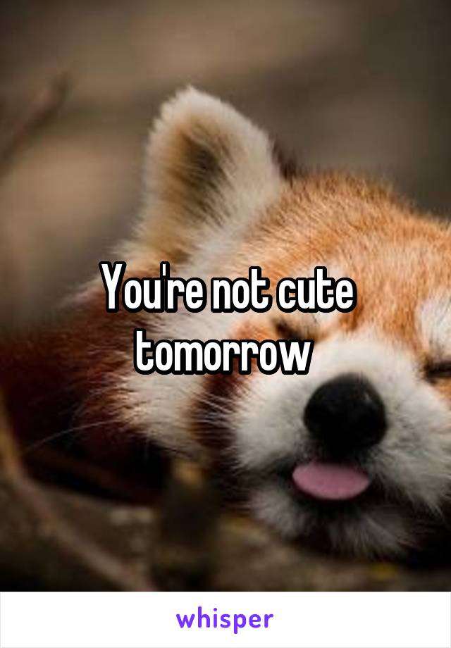 You're not cute tomorrow 