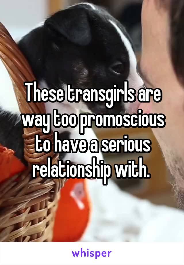 These transgirls are way too promoscious to have a serious relationship with. 