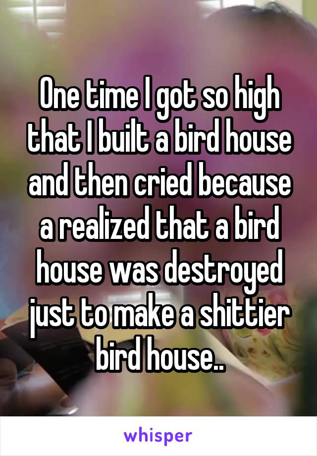 One time I got so high that I built a bird house and then cried because a realized that a bird house was destroyed just to make a shittier bird house..