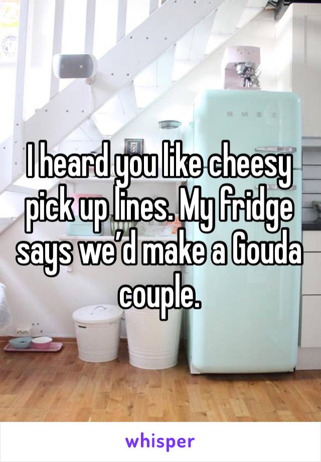 I heard you like cheesy pick up lines. My fridge says we’d make a Gouda couple.