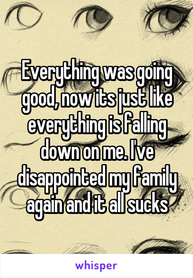 Everything was going good, now its just like everything is falling down on me. I've disappointed my family again and it all sucks