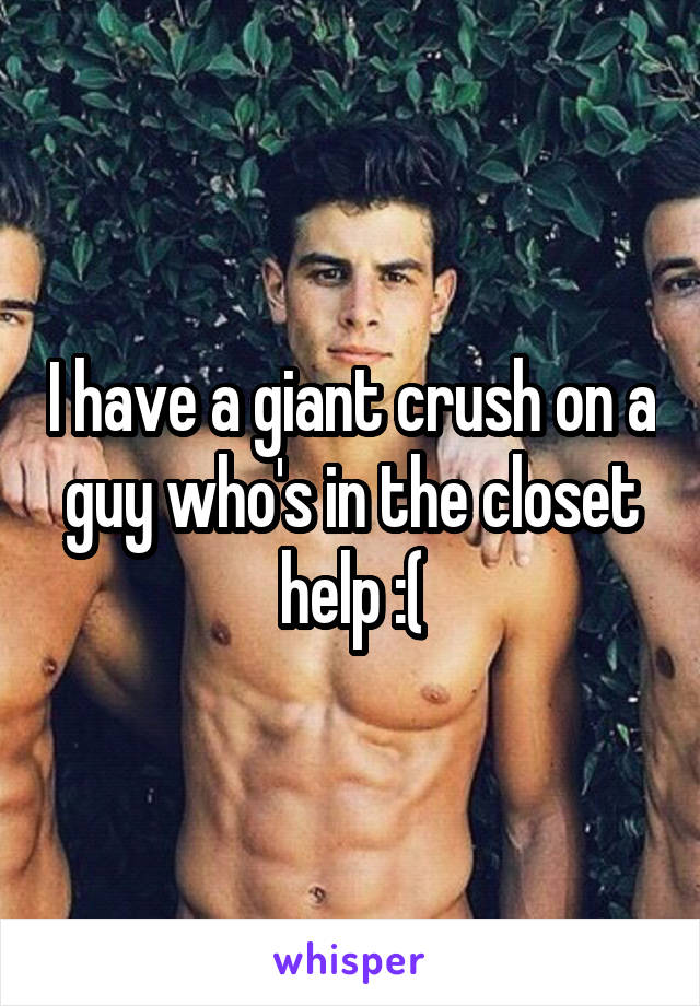 I have a giant crush on a guy who's in the closet help :(