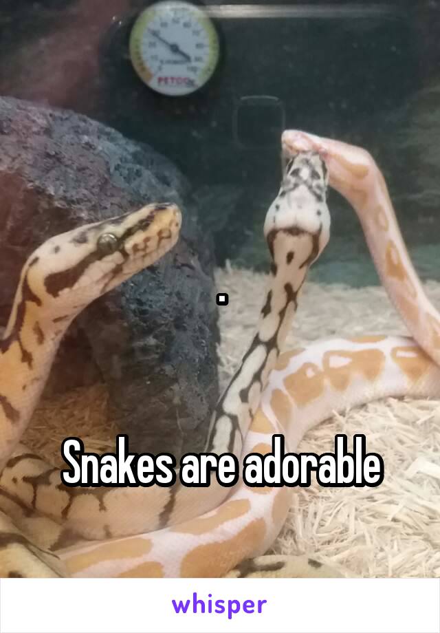 

.


Snakes are adorable