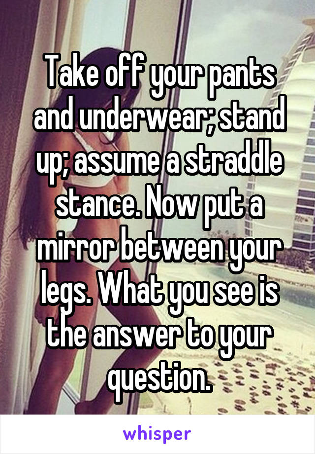 Take off your pants and underwear; stand up; assume a straddle stance. Now put a mirror between your legs. What you see is the answer to your question.
