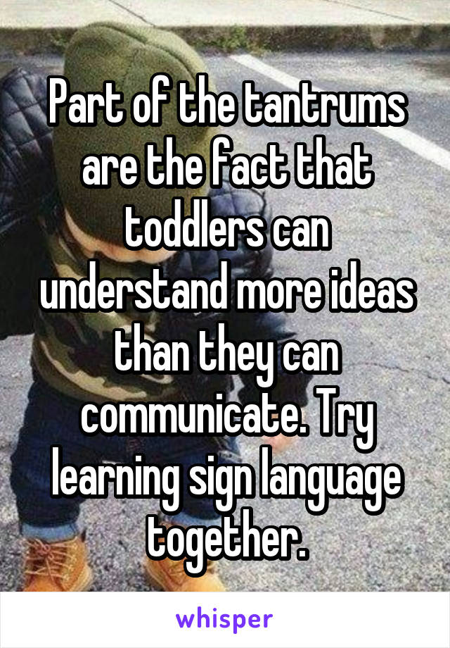 Part of the tantrums are the fact that toddlers can understand more ideas than they can communicate. Try learning sign language together.
