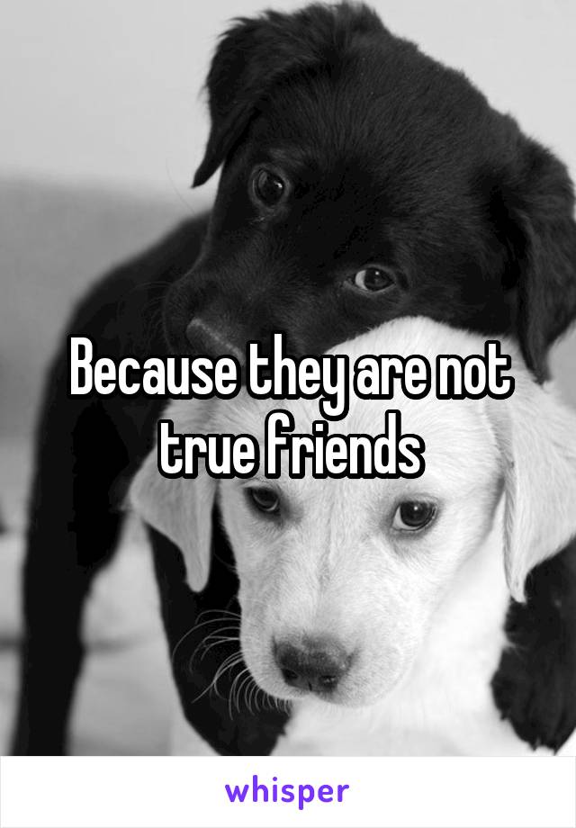 Because they are not true friends