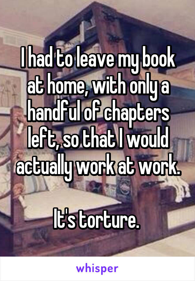 I had to leave my book at home, with only a handful of chapters left, so that I would actually work at work.

It's torture. 