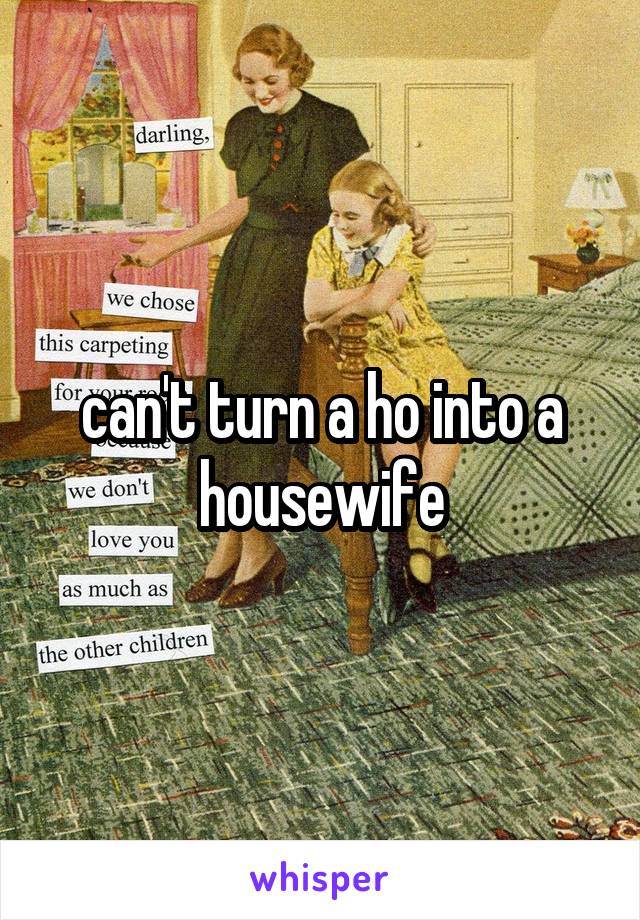 can't turn a ho into a housewife