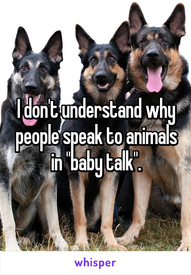I don't understand why people speak to animals in "baby talk".