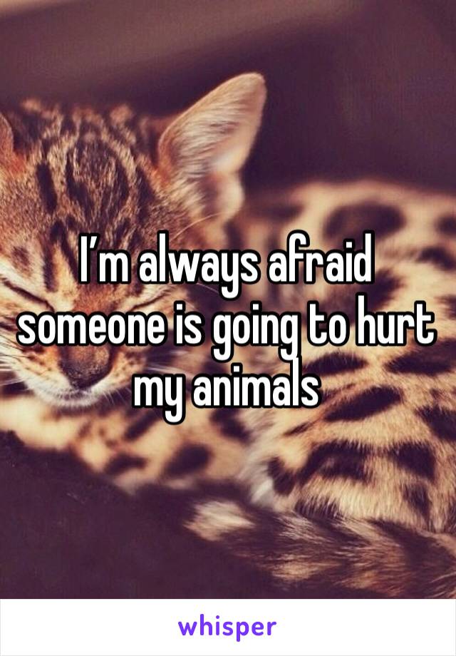 I’m always afraid someone is going to hurt my animals 