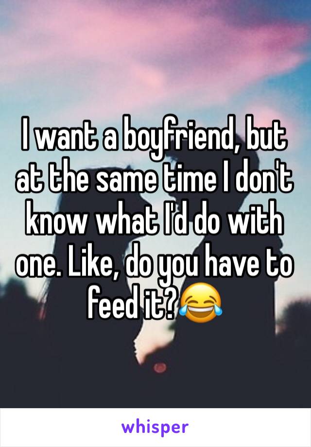 I want a boyfriend, but at the same time I don't know what I'd do with one. Like, do you have to feed it?😂