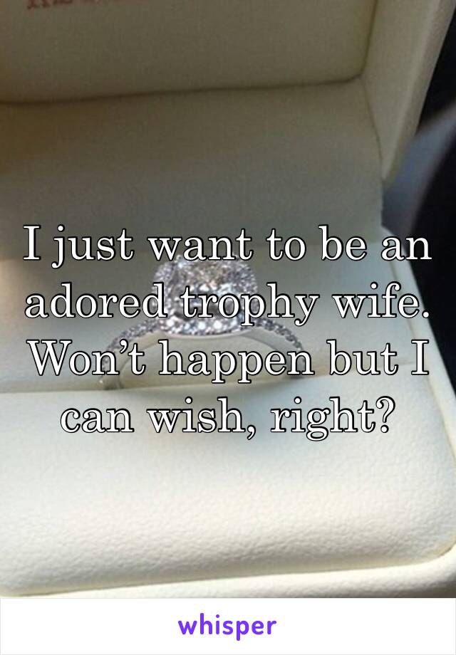I just want to be an adored trophy wife. Won’t happen but I can wish, right? 