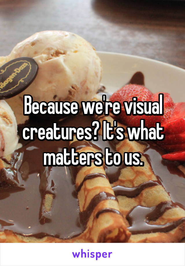 Because we're visual creatures? It's what matters to us.