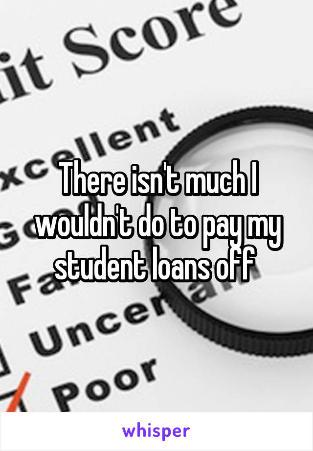 There isn't much I wouldn't do to pay my student loans off 