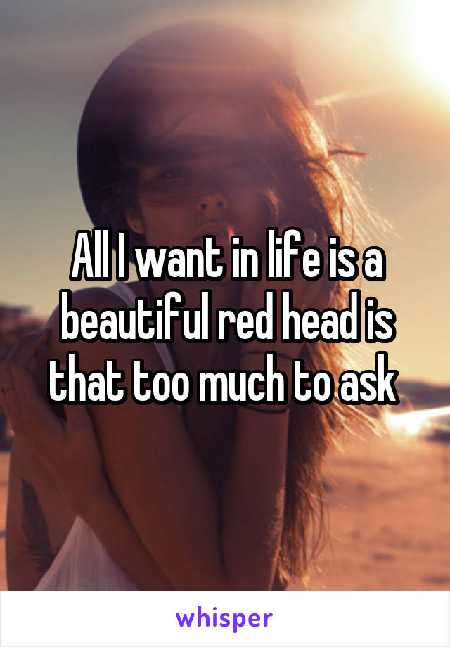 All I want in life is a beautiful red head is that too much to ask 