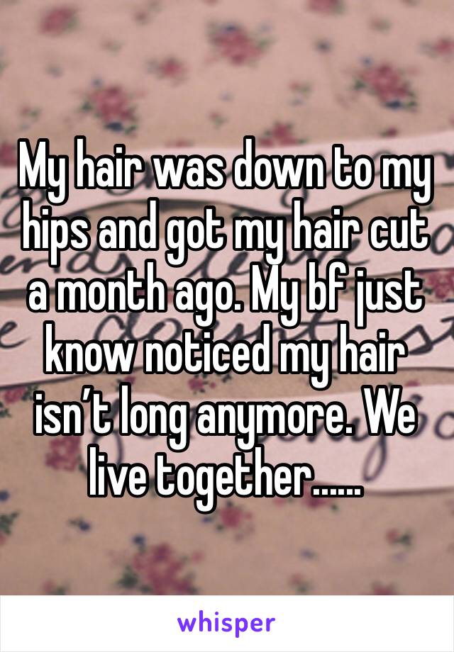My hair was down to my hips and got my hair cut a month ago. My bf just know noticed my hair isn’t long anymore. We live together......