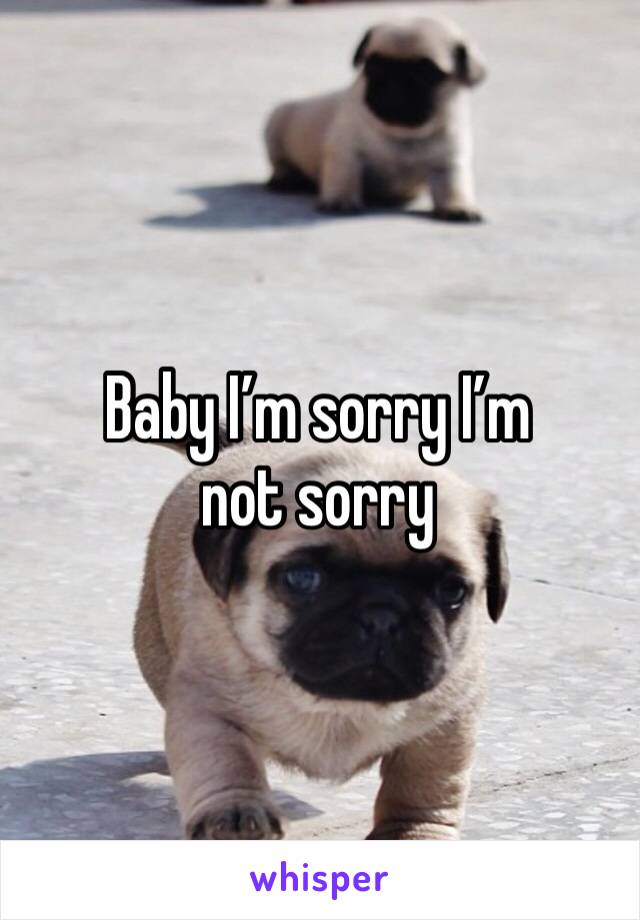 Baby I’m sorry I’m not sorry 