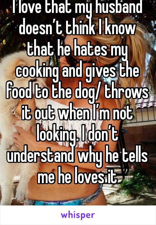 I love that my husband doesn’t think I know that he hates my cooking and gives the food to the dog/ throws it out when I’m not looking. I don’t understand why he tells me he loves it 