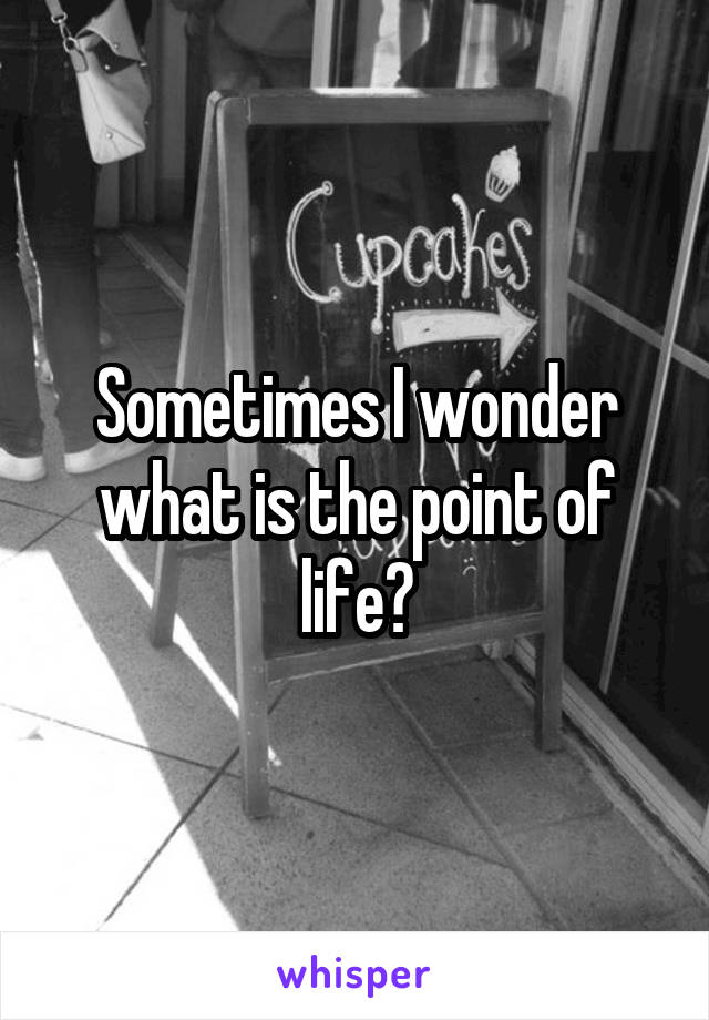 Sometimes I wonder what is the point of life?