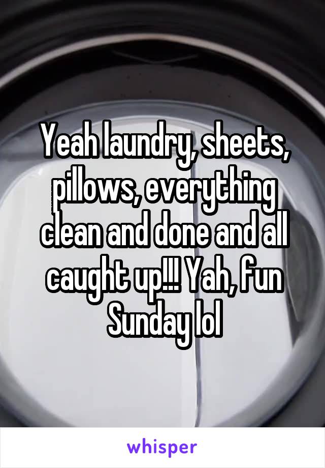 Yeah laundry, sheets, pillows, everything clean and done and all caught up!!! Yah, fun Sunday lol