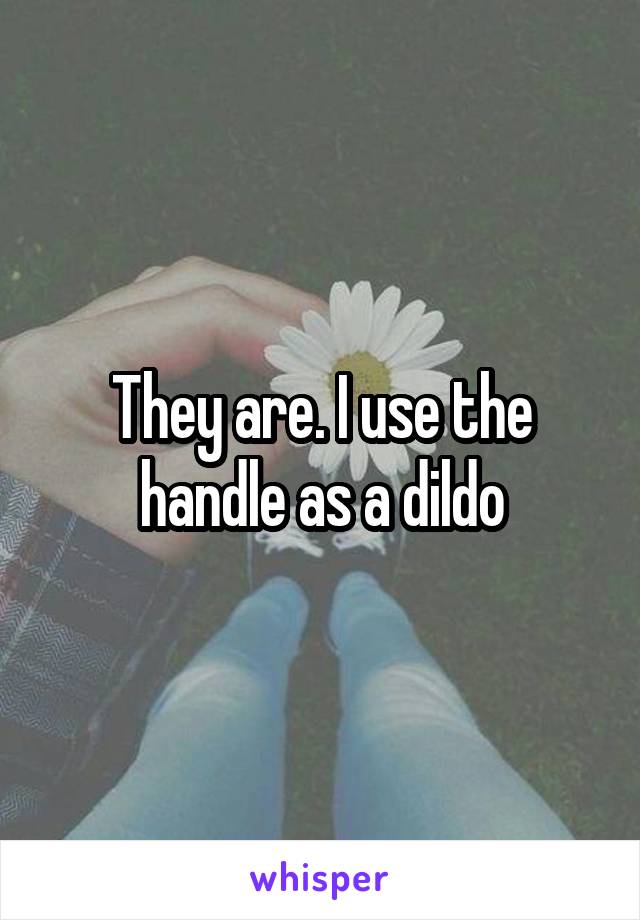 They are. I use the handle as a dildo