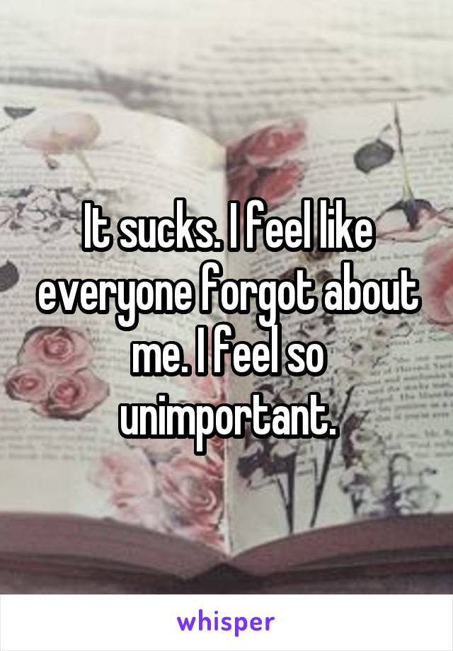 It sucks. I feel like everyone forgot about me. I feel so unimportant.
