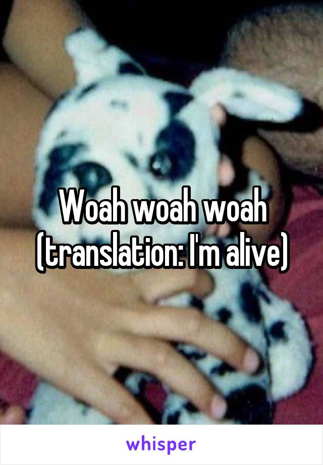 Woah woah woah (translation: I'm alive)