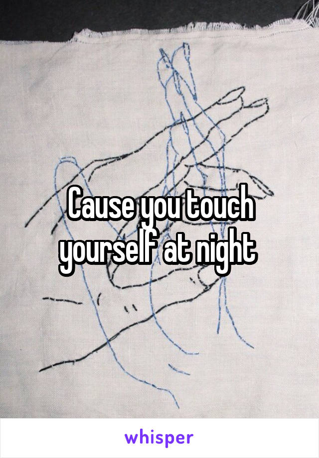 Cause you touch yourself at night 