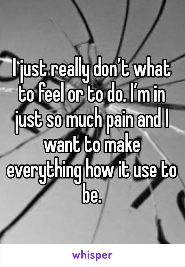 I just really don’t what to feel or to do. I’m in just so much pain and I want to make everything how it use to be. 