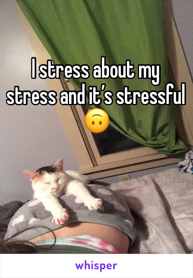 I stress about my stress and it’s stressful 🙃